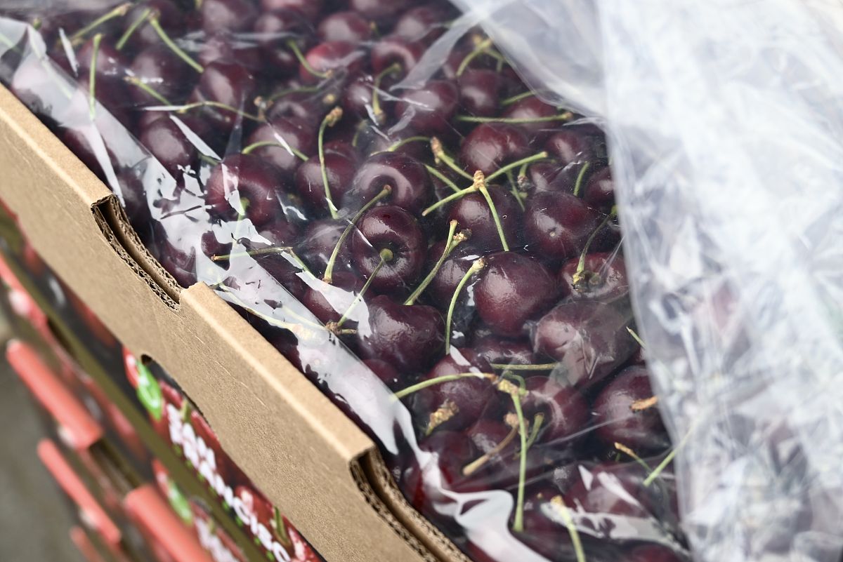 成都2022年女生读计算机学校怎么样