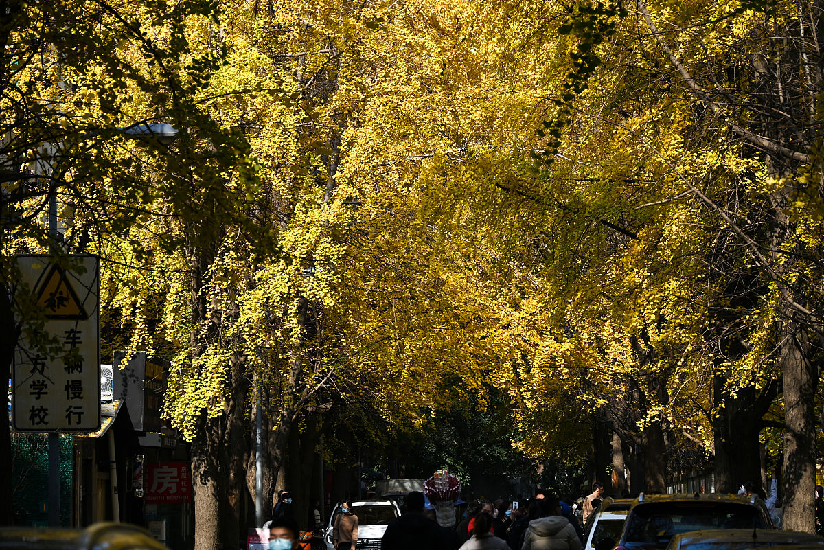 黑龙江哈尔滨媒体曝光求助热线是多少？最管用的曝光平台 要求：创建一篇1500至2000字的解决方案