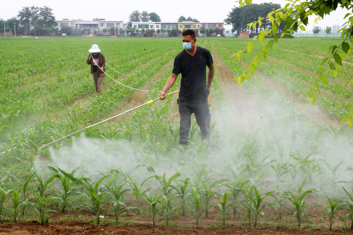 农业植保机械应用：提高效率、降低成本、保护环境