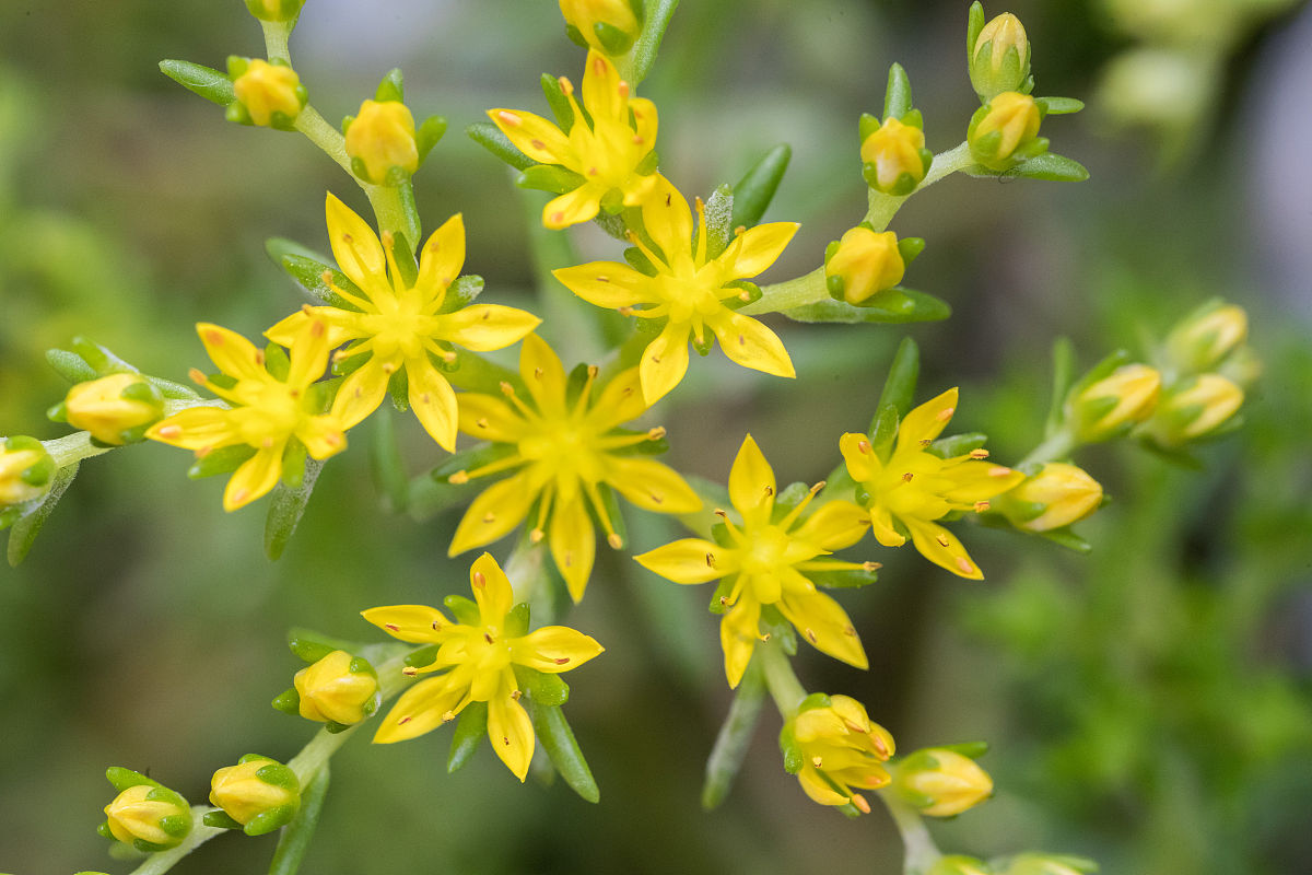 重庆三峡医药高等专科学校中医学专业学什么？就业方向有哪些？