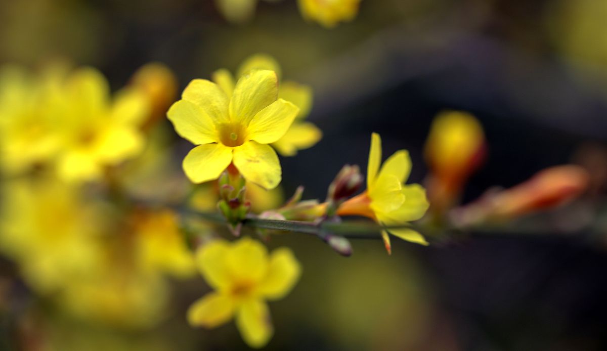 邯郸2022年中专招生计划：10所学校，多个专业方向