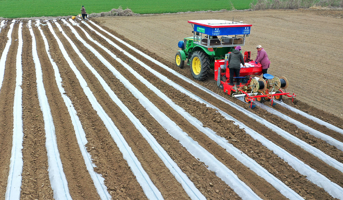 写一篇延长县农业及机械化推广存在的问题请结合农机推广现状进行阐述。
