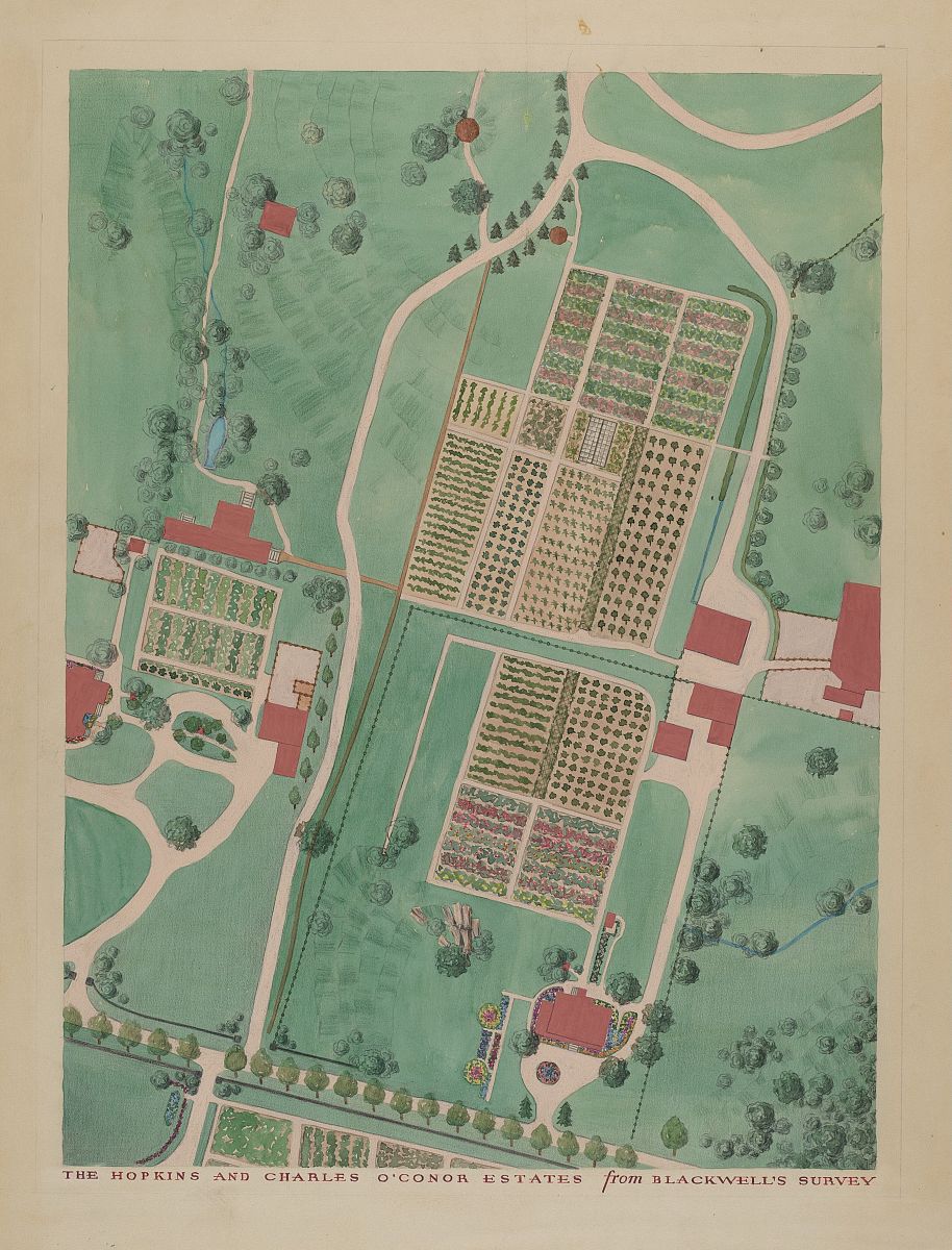 东北农业大学人文地理与城乡规划专业就业方向解析