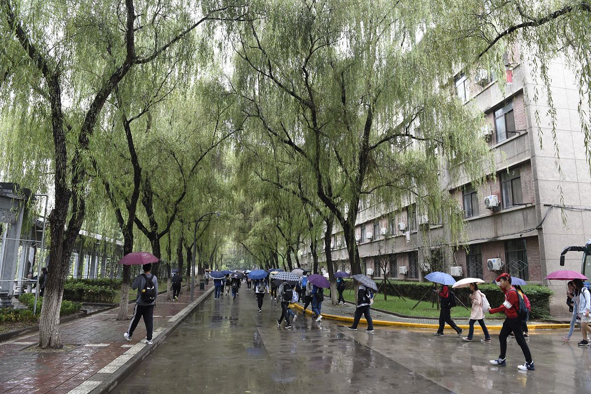陕西省护理学校就业排名：哪所学校前景最好？