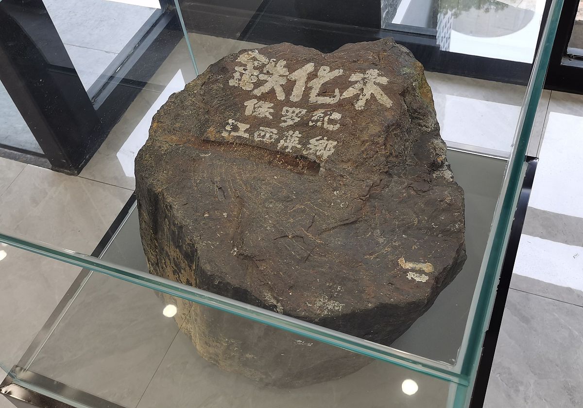 2022年1月5日,武汉汉口,全新改造升级开放后的湖北地质博物馆吸引了不