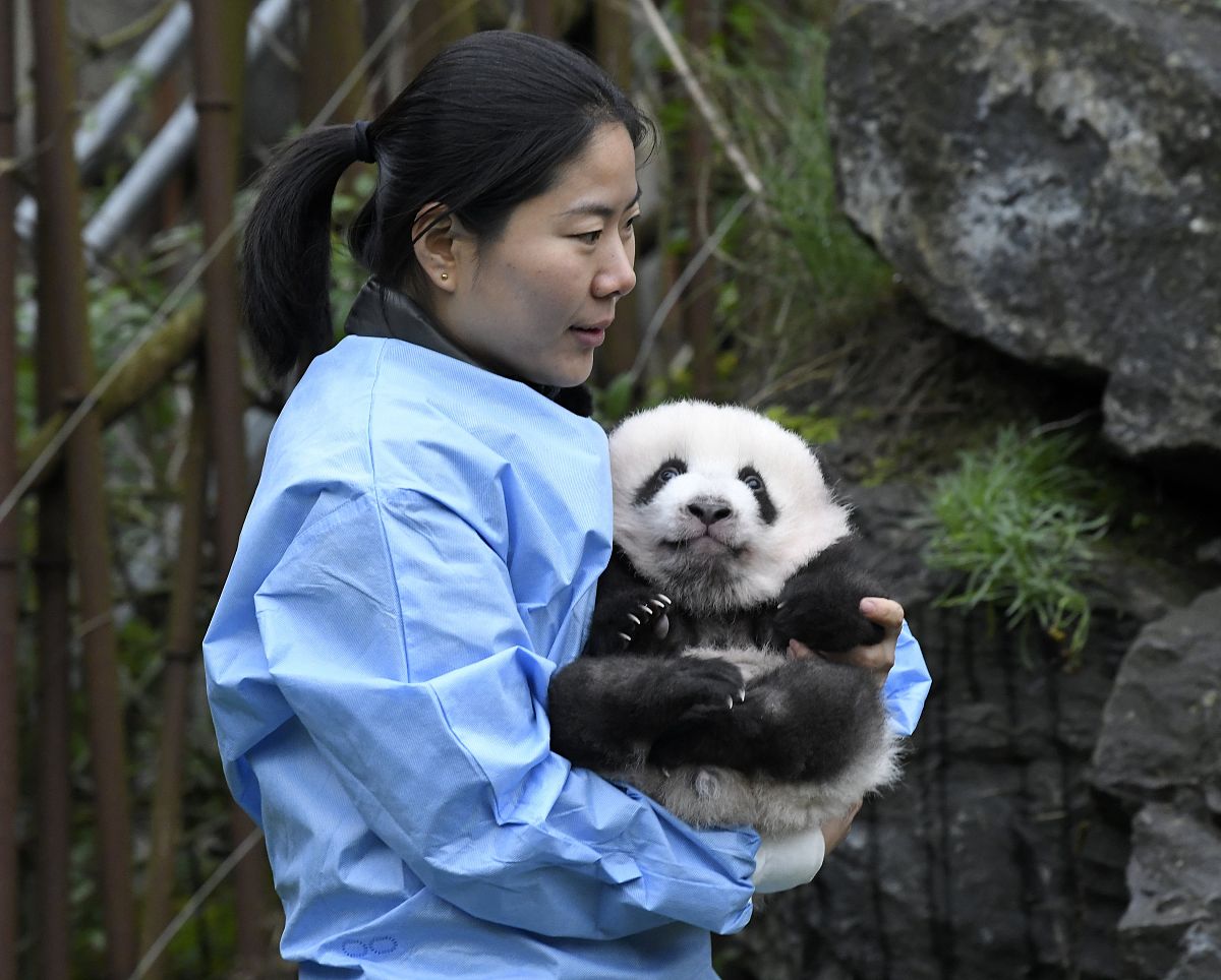 2023年2月出生的女宝宝取名