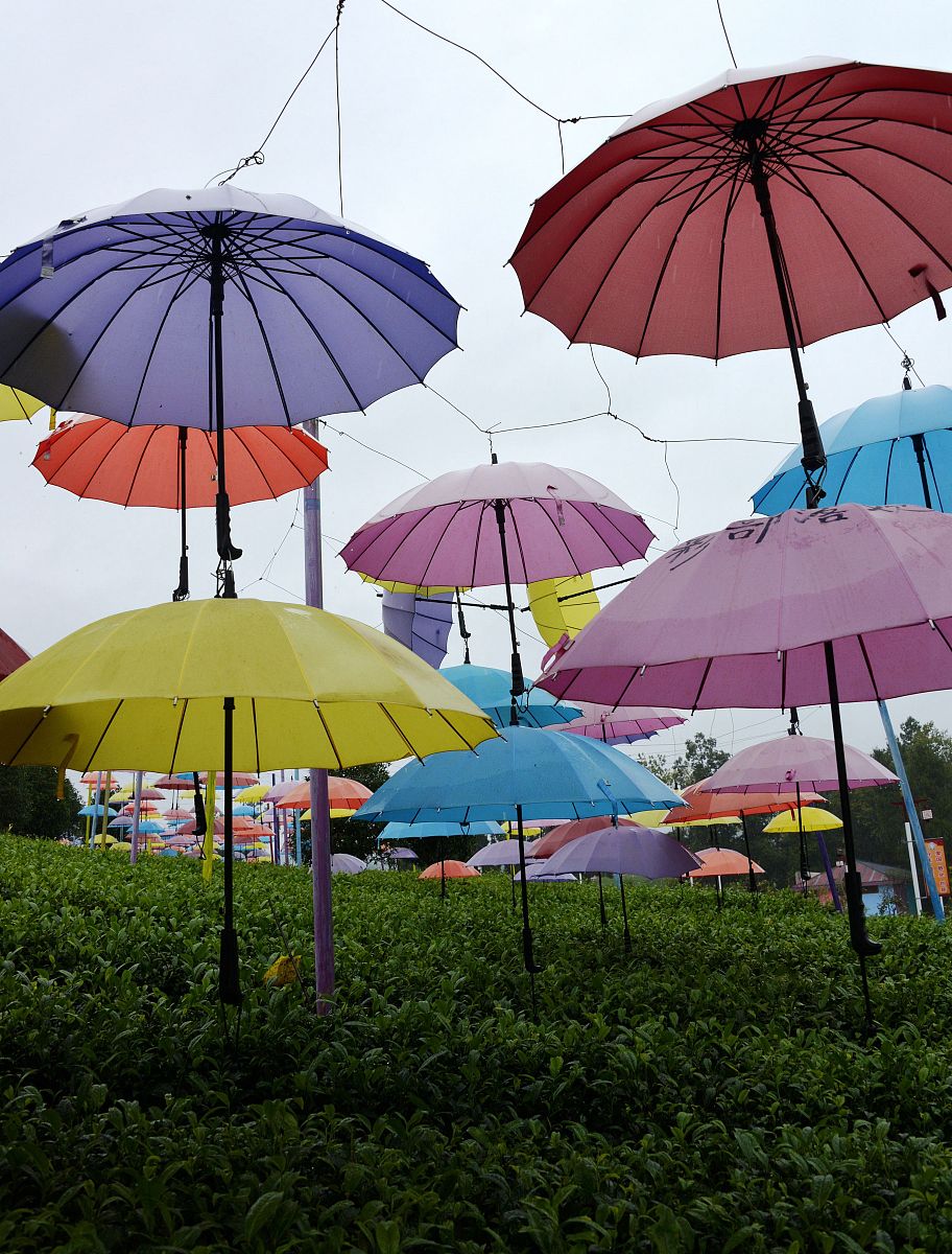 correct the sentenceno I dont because in my city Guangzhou it really rains a lot I often get wet when I was outside and without an umbrella It is really annoying