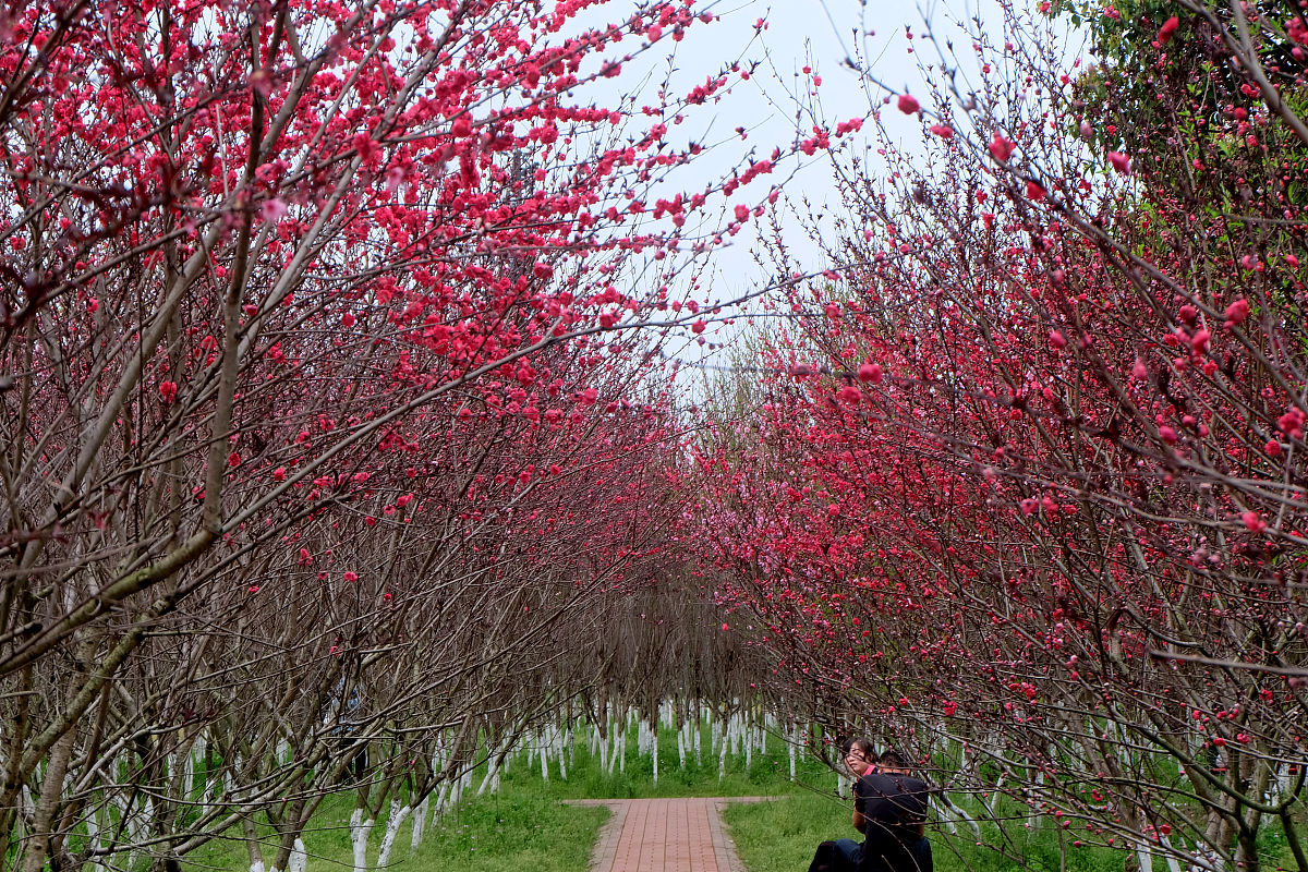 铜仁职业技术学院农产品质量检测专业：高职层次培养技能人才