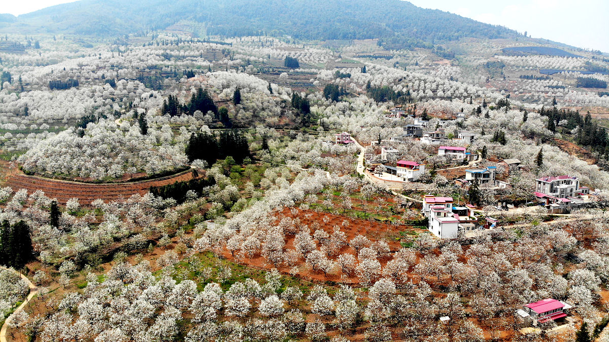 红河哪所中专学校就业好