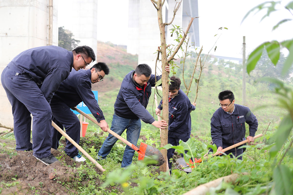 学经济林后悔死了？为什么千万别学经济林专业？