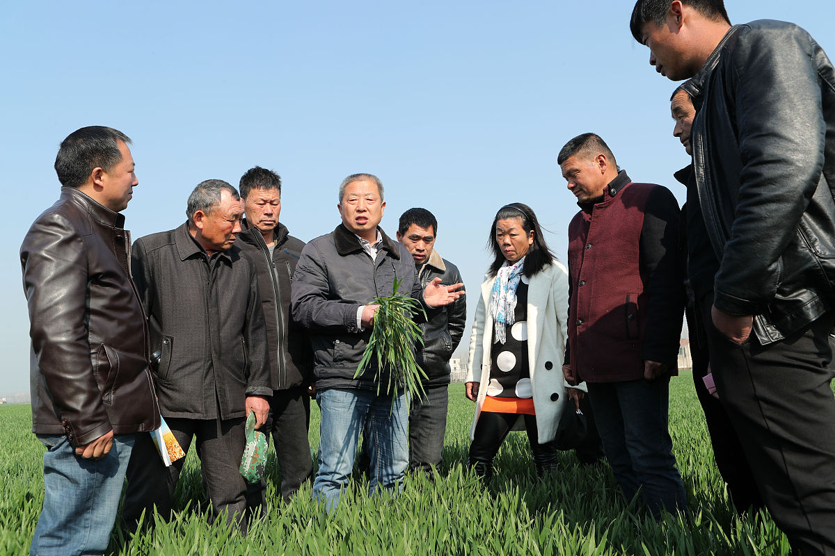 返乡大学生投身乡村振兴课题研究：面临的五大挑战