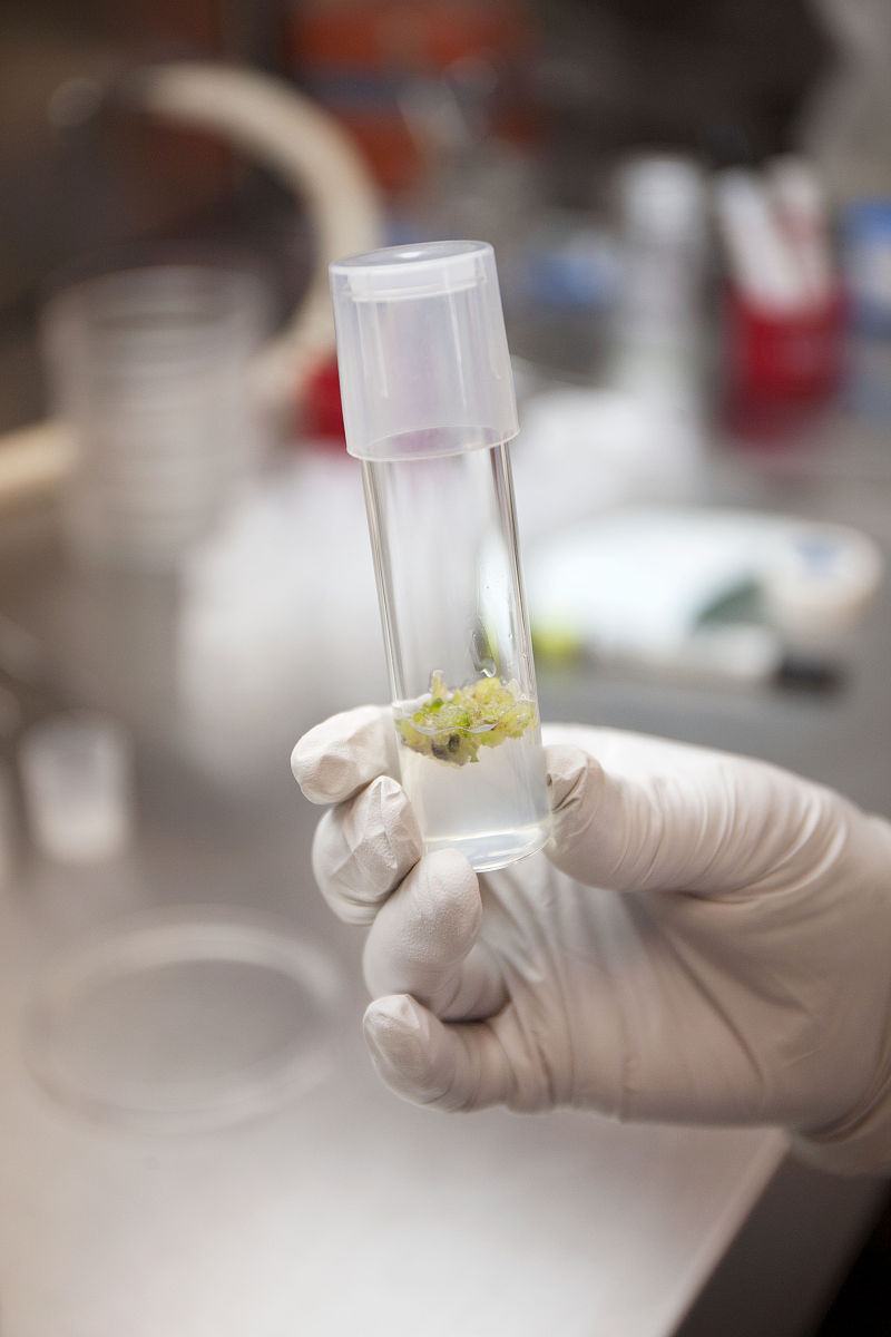 优化代码： Dim valueA As Double ValueB As Double ValueC As Double Dim Xha As Integer Xhb As Integer Xhc As Integer valueA = RangeB8Value Sheets参考数据RangeD948Value 计算过程结果与参数结果之间的商以备后面用这个商来做倍数 Xh