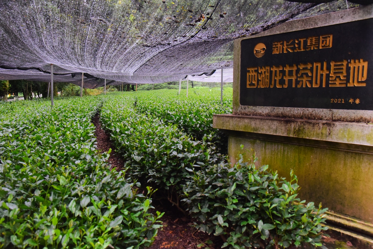 铜仁职业技术学院茶叶生产加工技术课程有哪些教学质量如何