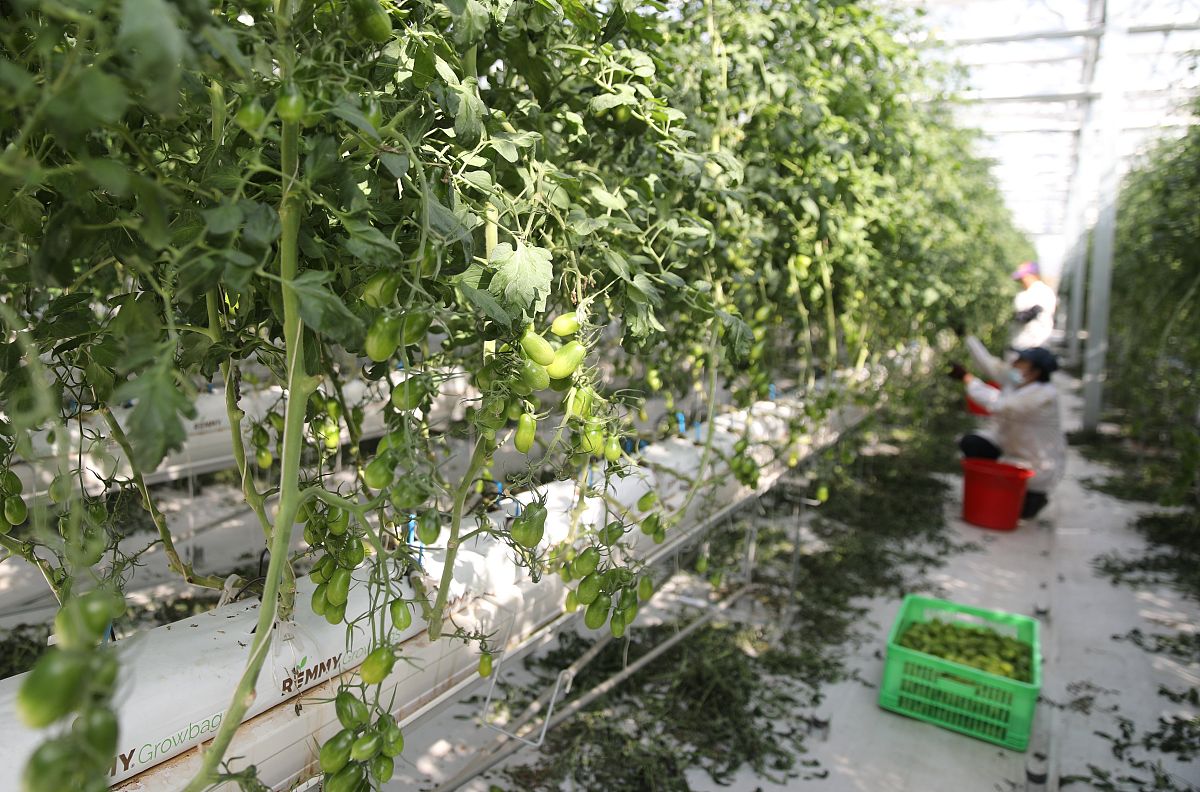 太原生态工程学校2021年果蔬花卉生产技术专业招生简章【官网】