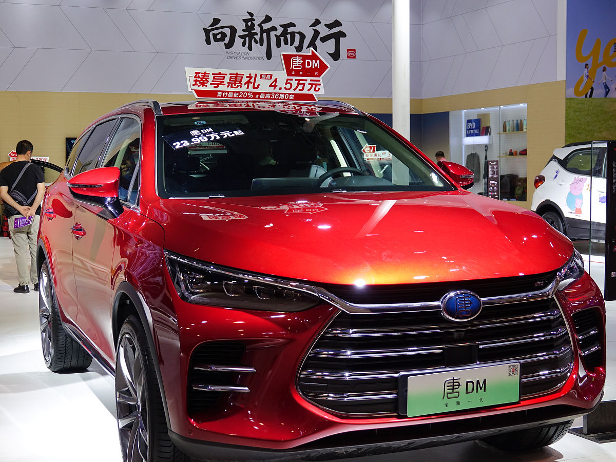 byd有什么歧义