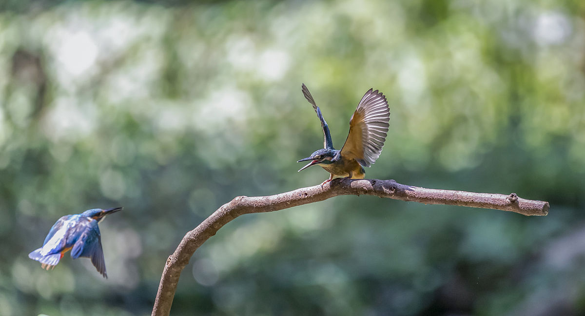 重庆中华职业学校2021年新增专业及校园环境介绍