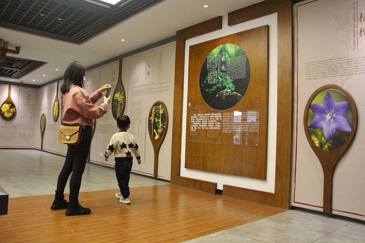 湖南中医药大学2022年招生简章 - 报考指南及专业介绍