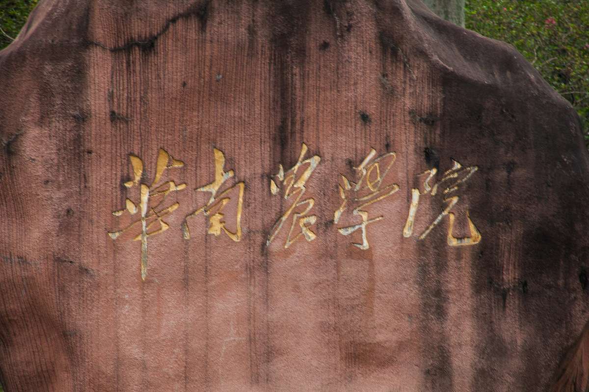 阐述文献研究法