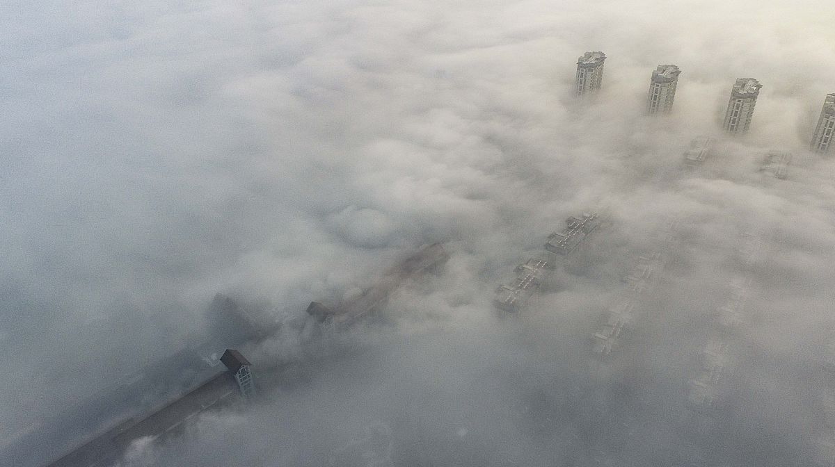 关于迷雾的一千字文章