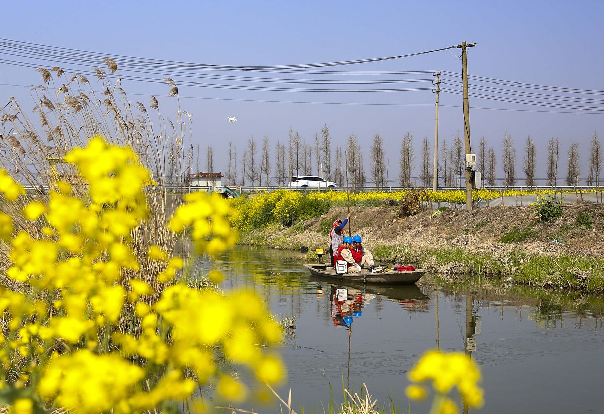 请编制网络运维人员培训计划及内容