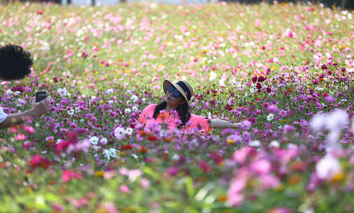 什么季节适合旅游