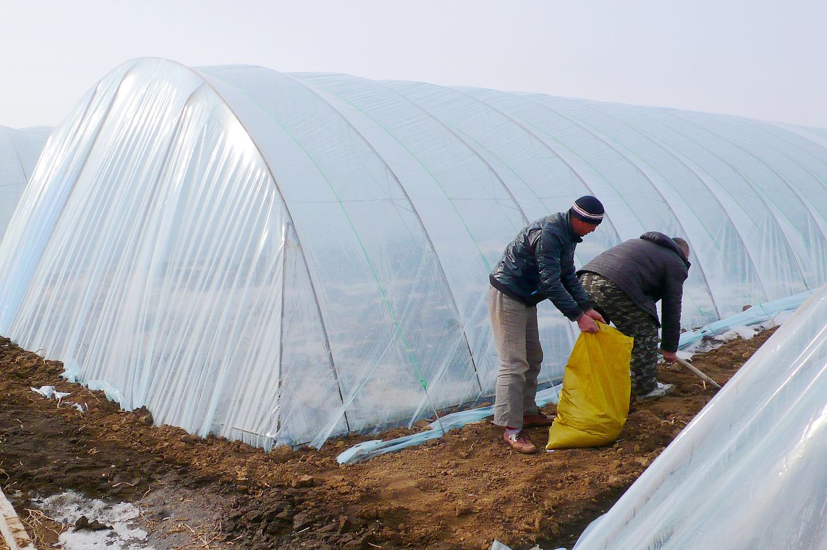 黑龙江农业经济职业学院食品检测技术专业如何好学吗