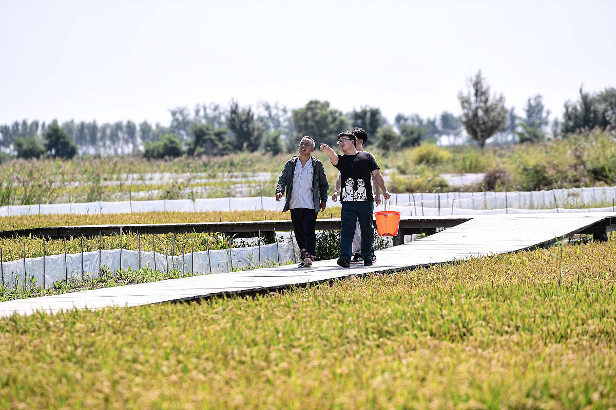 曲靖农业学校2019年五年制大专重点招生专业
