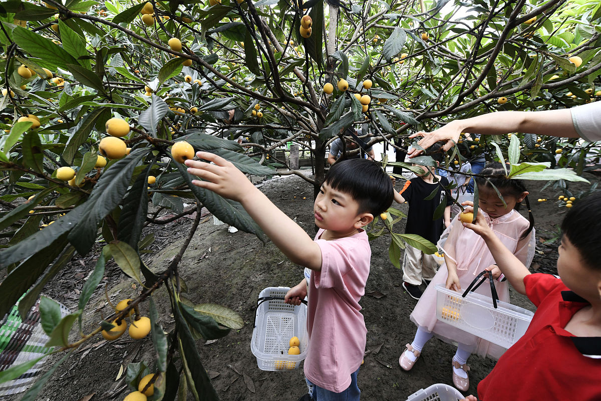 写新闻稿时间：2023年8月4日地点：黔东南州台江县革一镇人物：金果兴农团队负责人张绍美事件：金果兴农团队展示他们的枇杷次果加工设备可以将枇杷次果加工成果汁助力乡村振兴加工方式：线清洗清洗机— 检果检果机 去核去核机— 破碎破碎机 — 打浆打浆机 — 榨汁榨汁机 — 过滤过滤器—浓缩浓缩器—调配调配罐 — 杀菌灭菌机—无菌储存无菌贮罐— 无菌灌装 — 成品包装通过清洗、去皮、去核、打浆压榨以及浓缩
