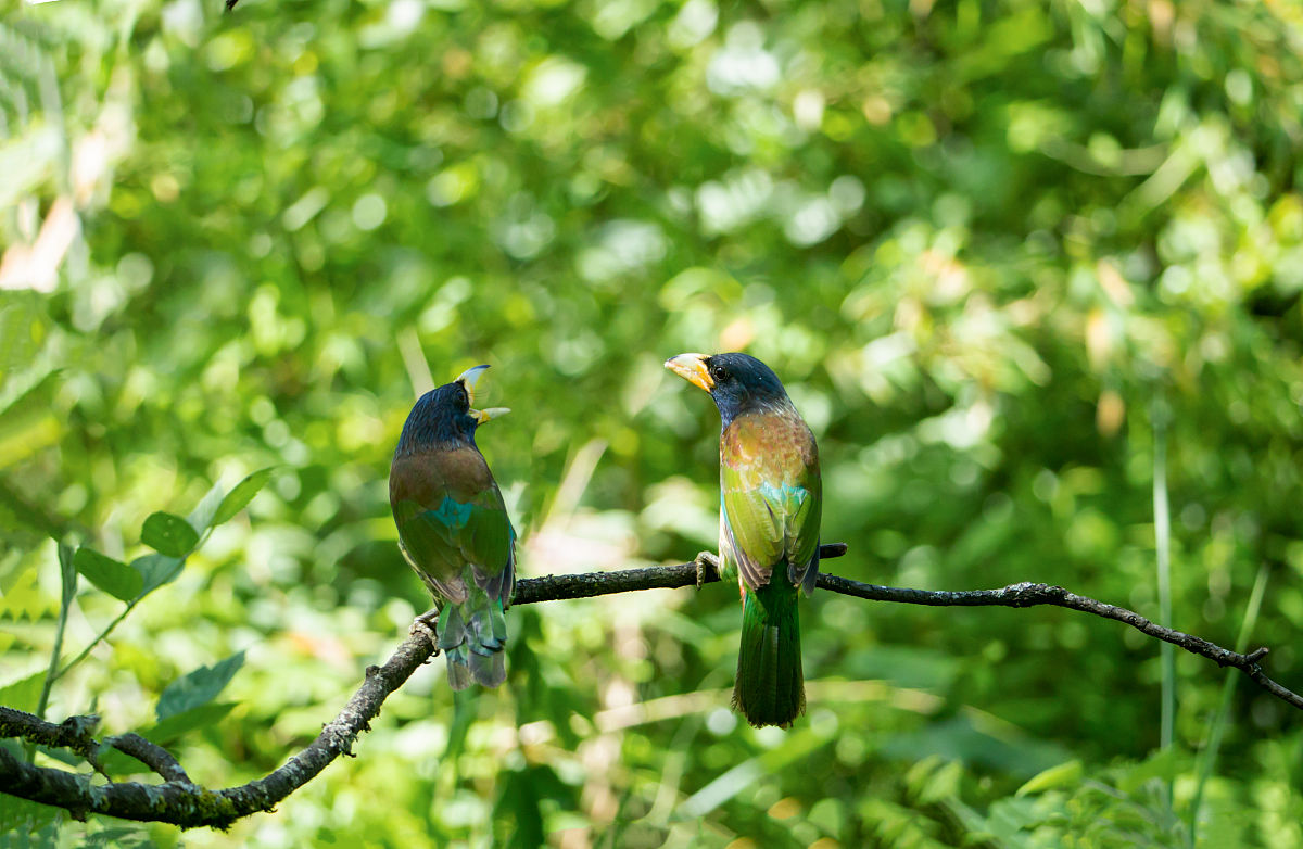 重庆市商务高级技工学校现代物流管理专业优势怎么样发展前景好不好呢；：：；；