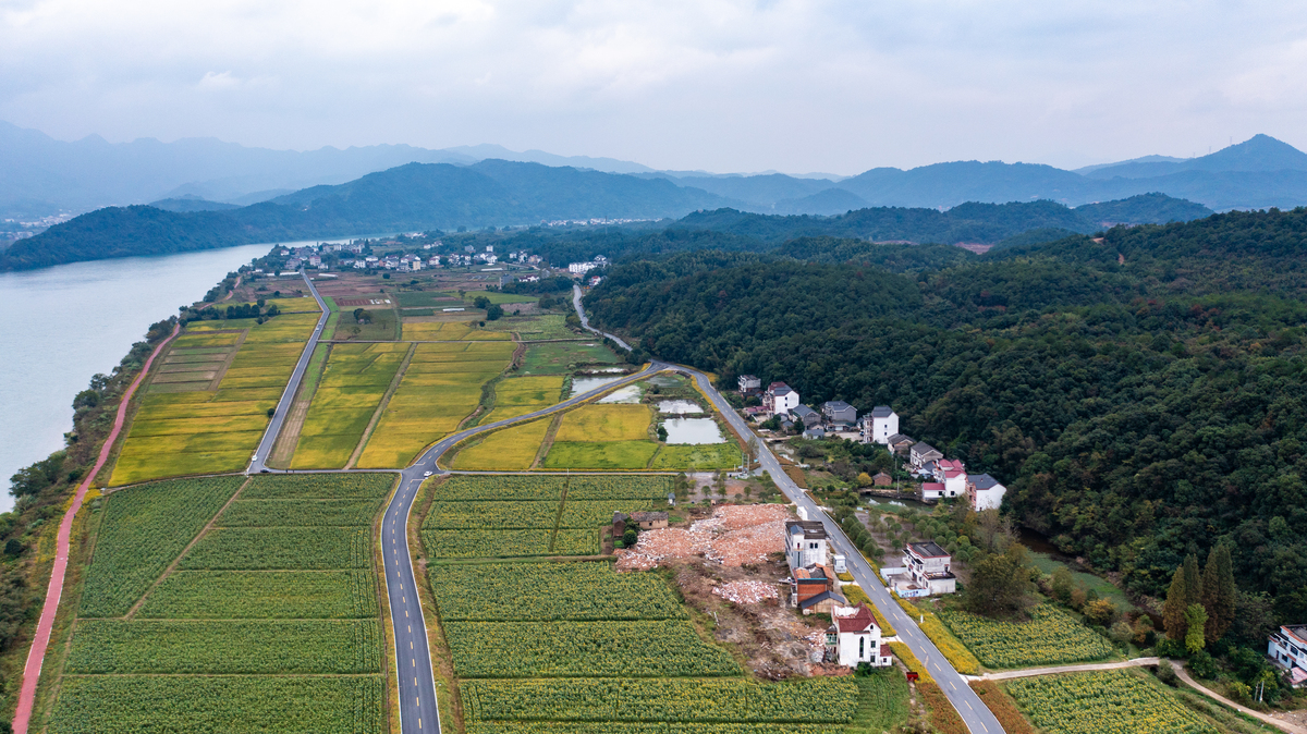 杭州临安乡村振兴：特色农业、乡村旅游与基础设施建设