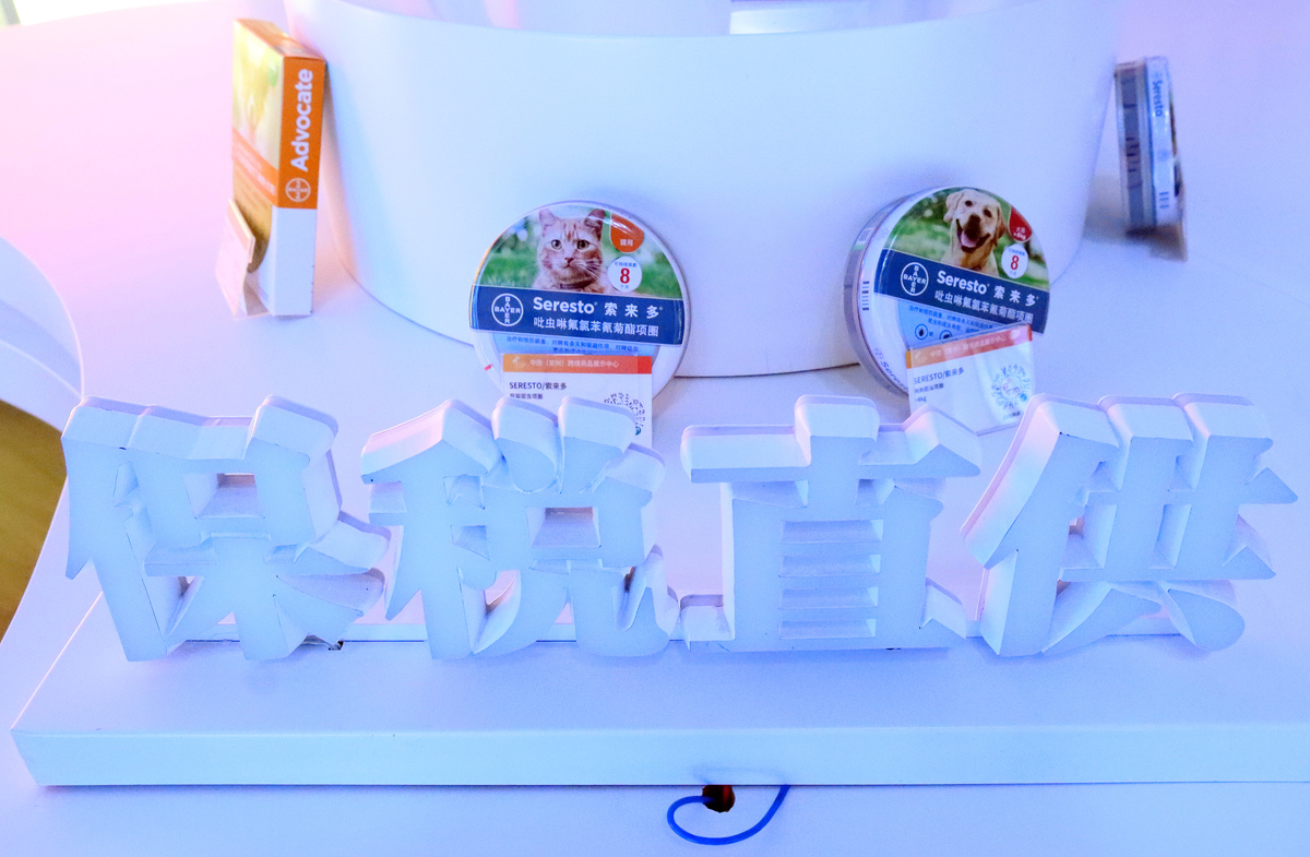 重庆2022年电子商务学校都有哪些