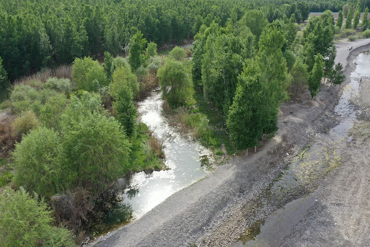 博尔塔拉职业技术学院专业有哪些？专业介绍