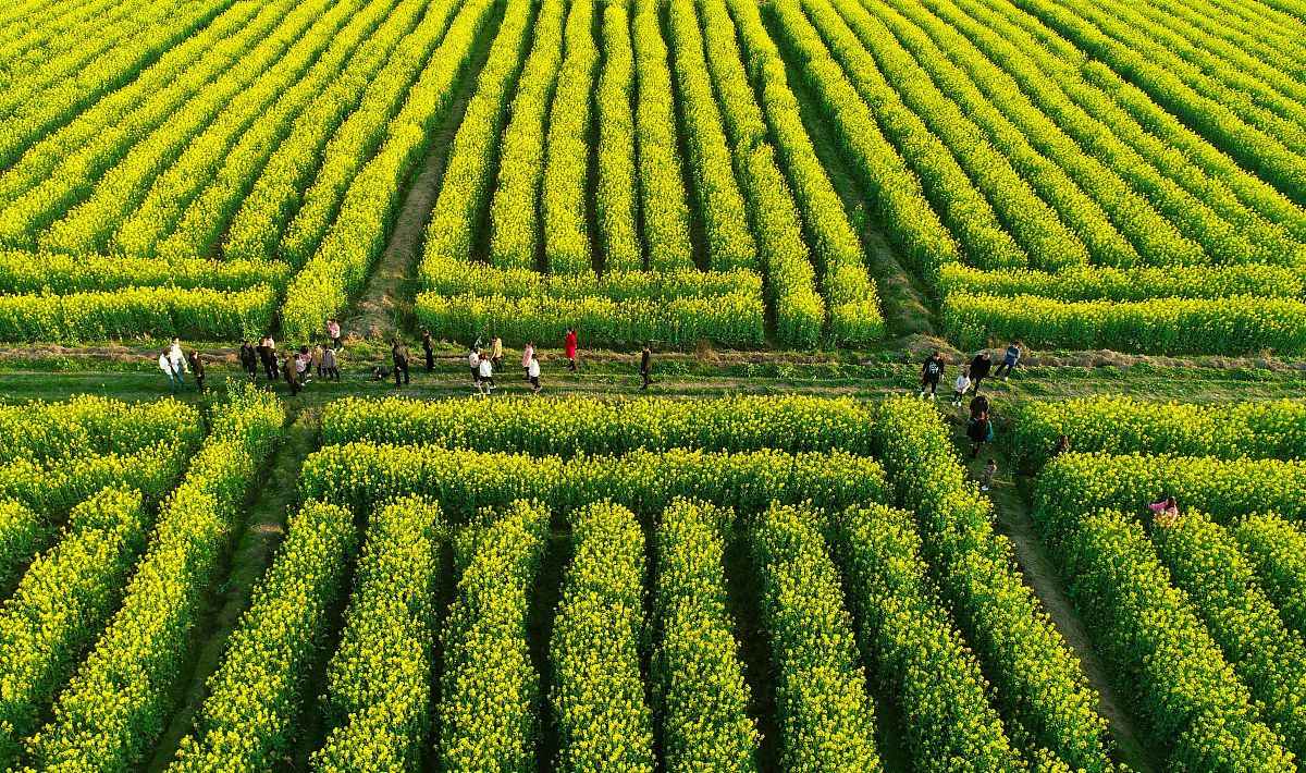 江西宜春工业技工学校2022年招生简章