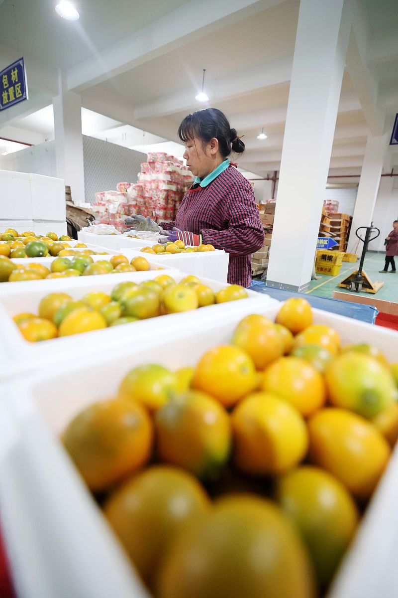 长安大学物流管理专业就业前景分析：行业发展趋势及就业方向