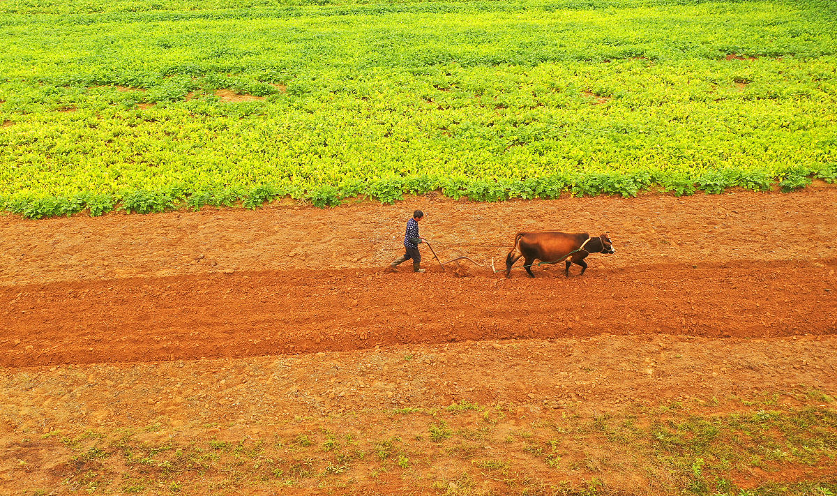 福建农林大学金山学院农学专业怎么样