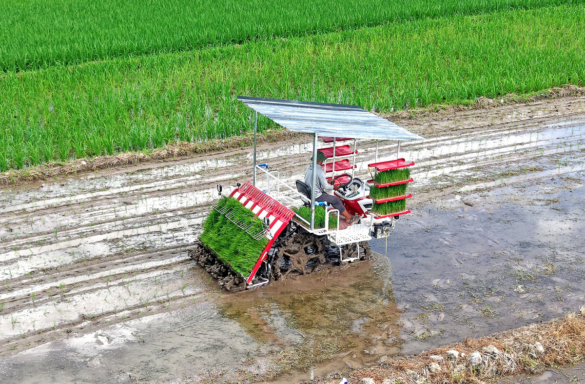 水稻收割机类型