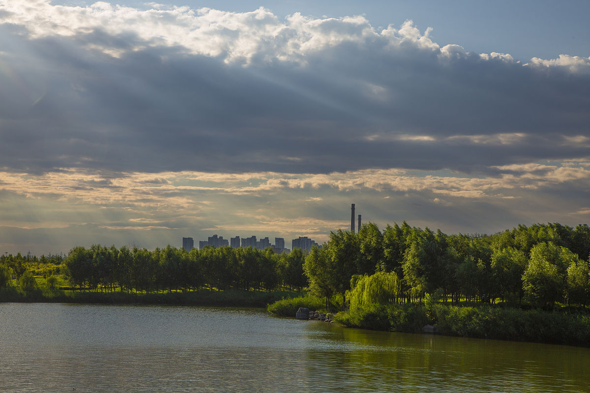 北师大公共管理专业研究计划：方向与建议