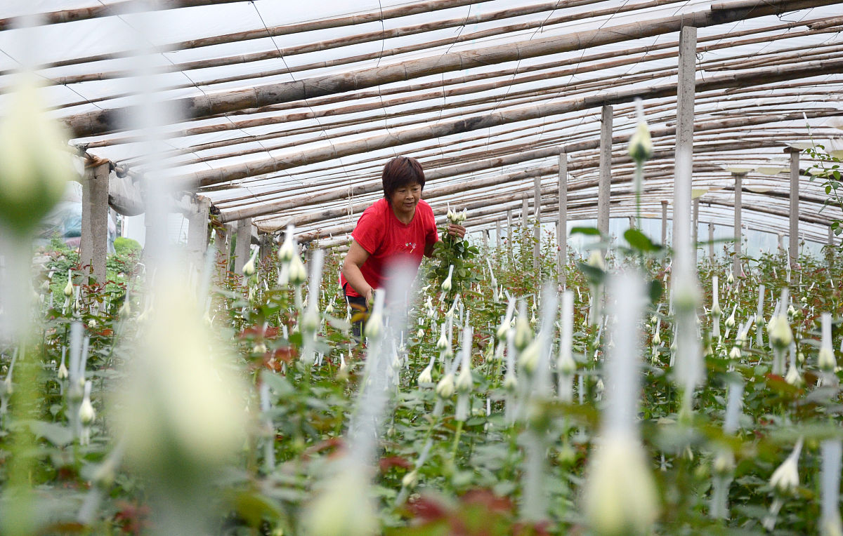 庄浪职业教育中心现代农艺技术专业怎么样