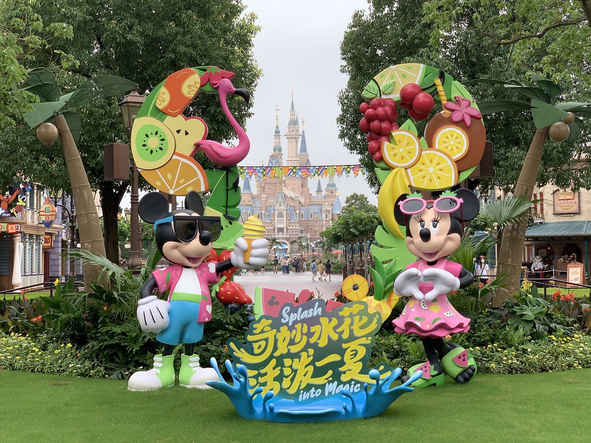 关于迪士尼的800字作文