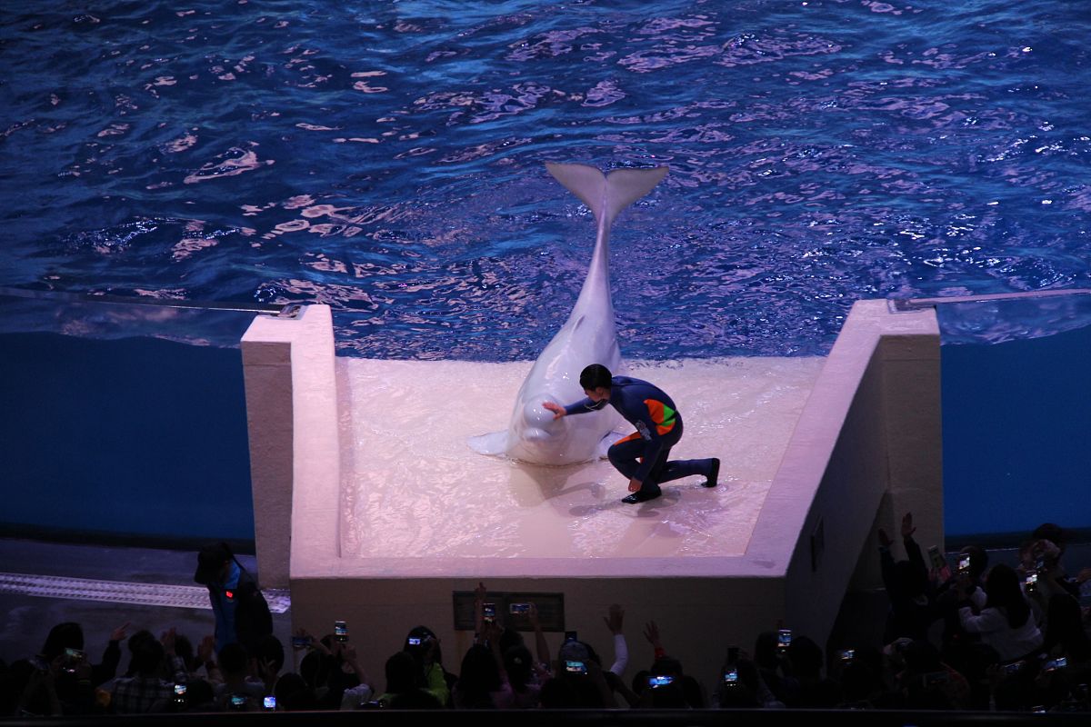 广东海洋大学工程管理专业怎么样？就业前景、师资、课程解析