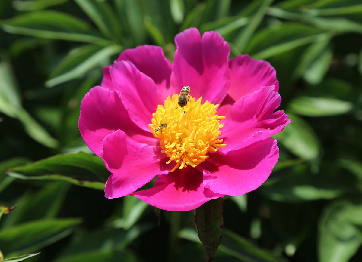贵阳矿山机电专业学校：专业选择与实践教学优势