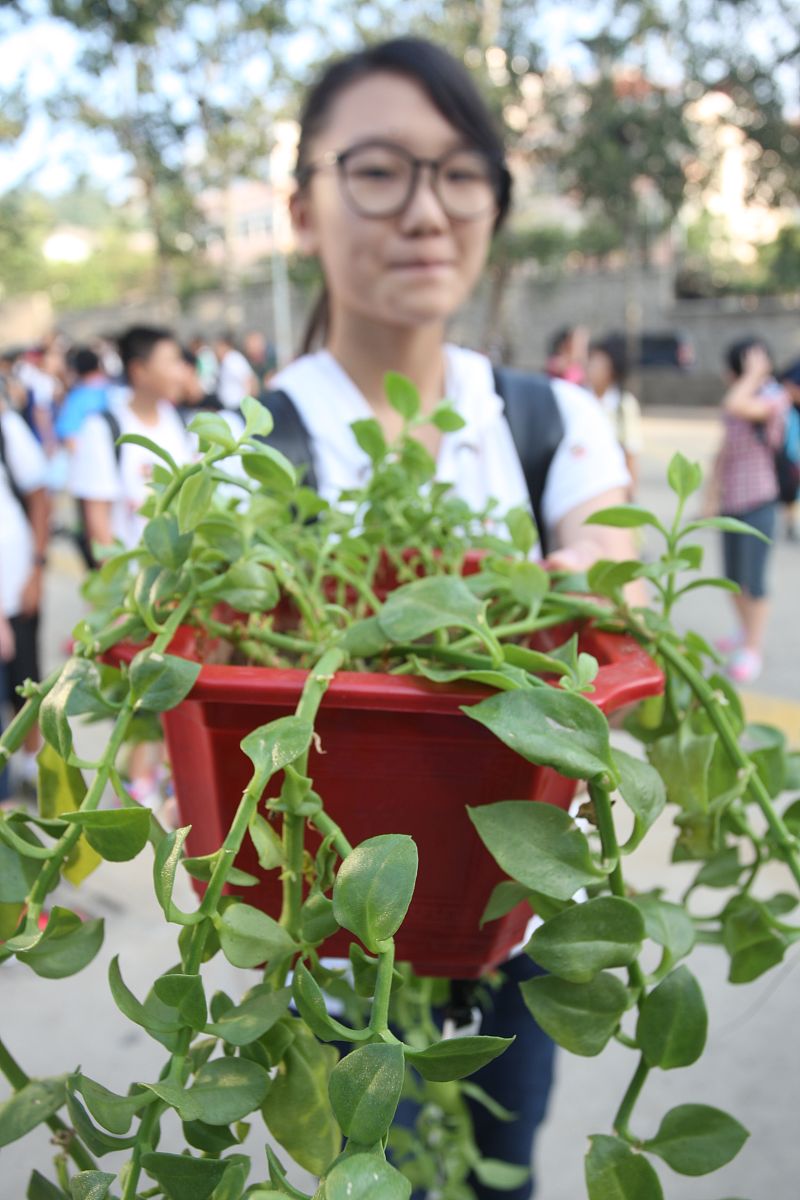 曲阜职业中专园林与花卉专业怎么样