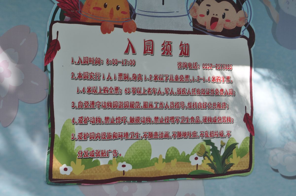 野生动物园参观指南：注意事项及安全提示