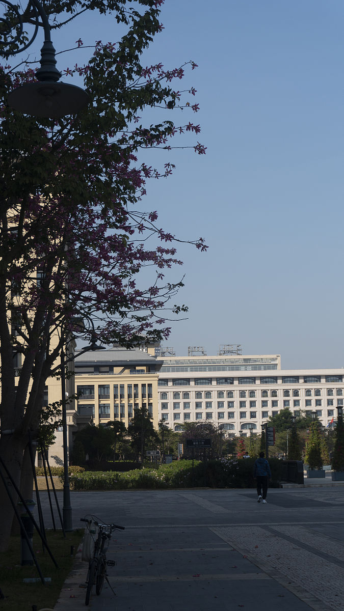 衡阳师范学院信息管理与信息系统专业怎么样