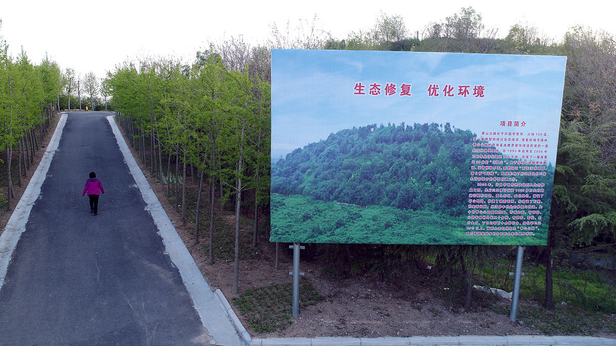 金塔公路段‘三抓三促’生态环境行动总结