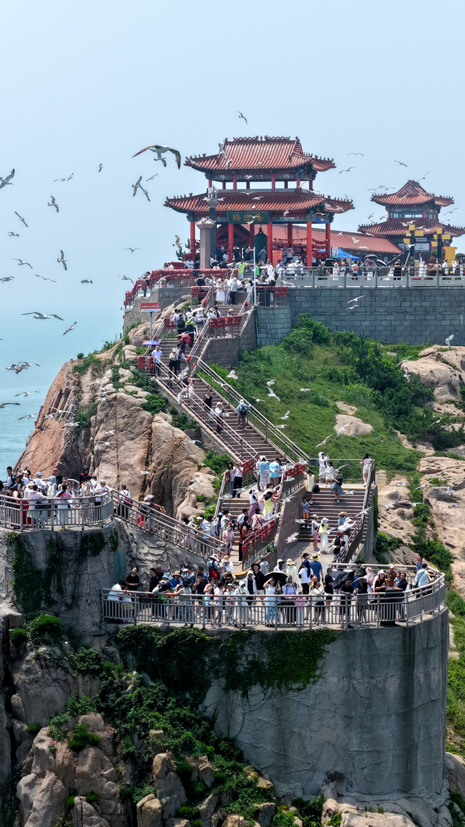 山东旅游攻略：必打卡景点、文化体验与历史探秘