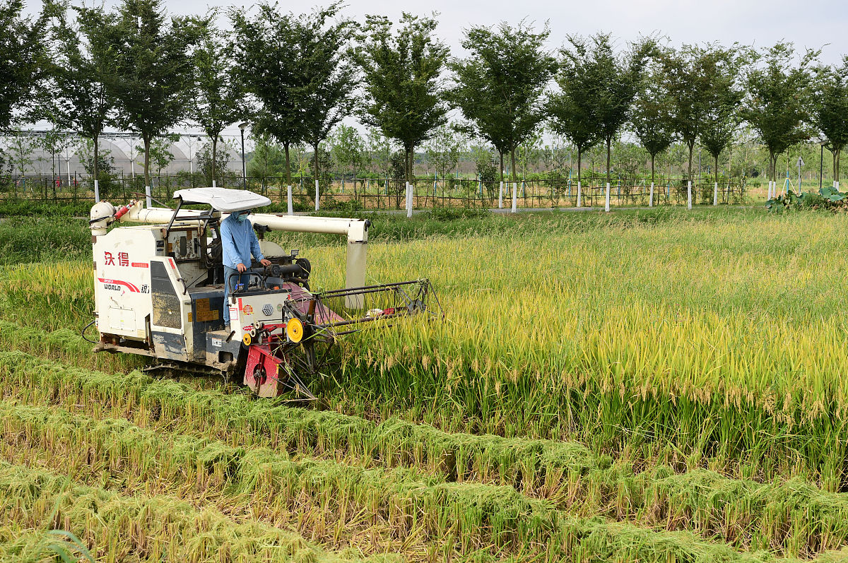 泸西县农业机械化技术学校：培养农业机械化人才，助力乡村振兴
