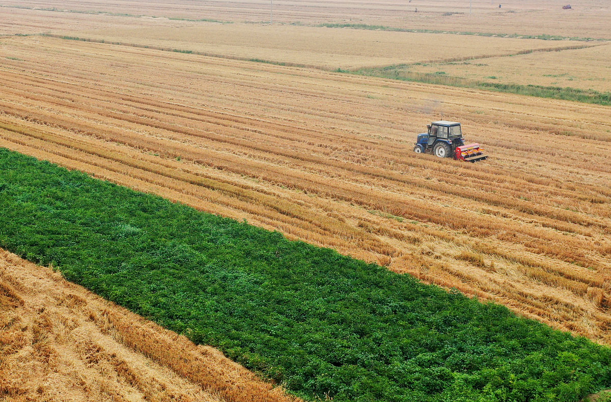 临汾会计学校2022年招生简章 - 培养会计人才的摇篮