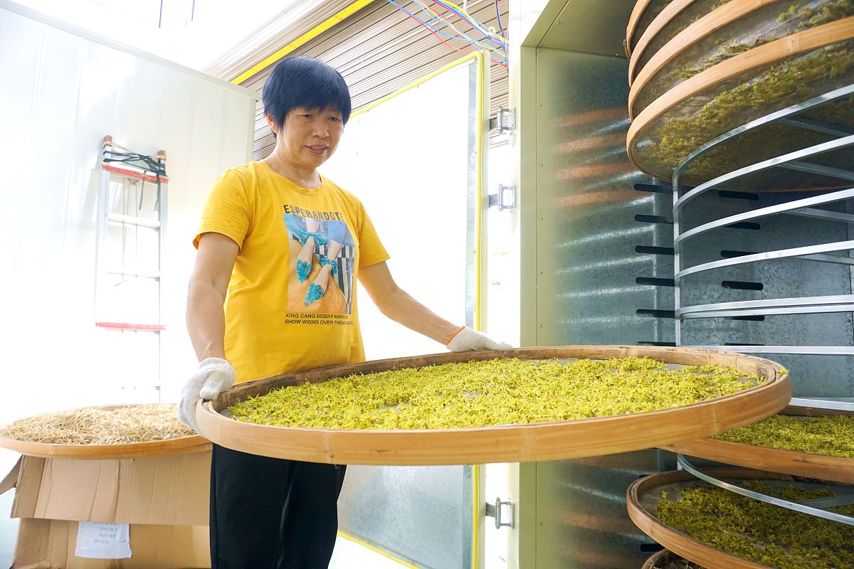 贵州现代经济学校地址在哪？公交路线怎么走？