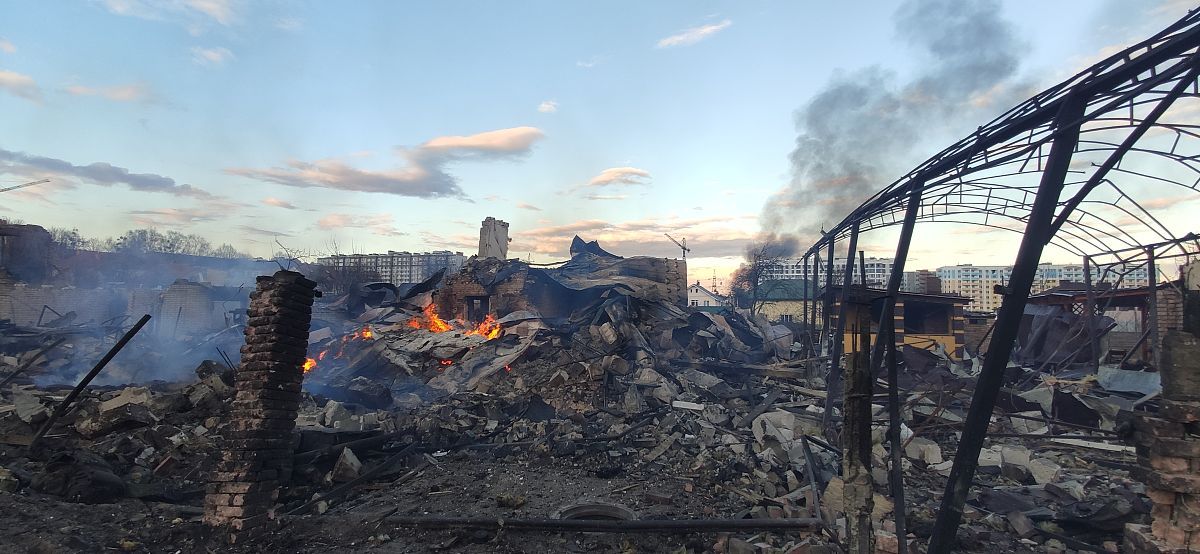 末日废土：人类最后的希望